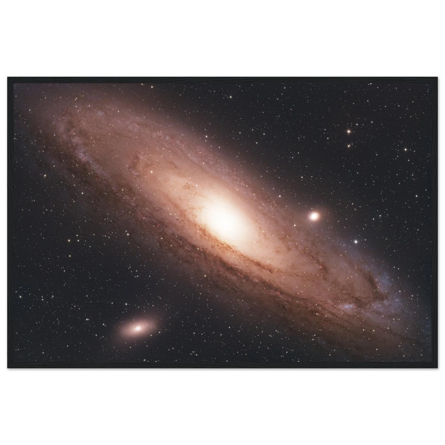 0321b28e-b4bf-42de-891a-db2cbd831055