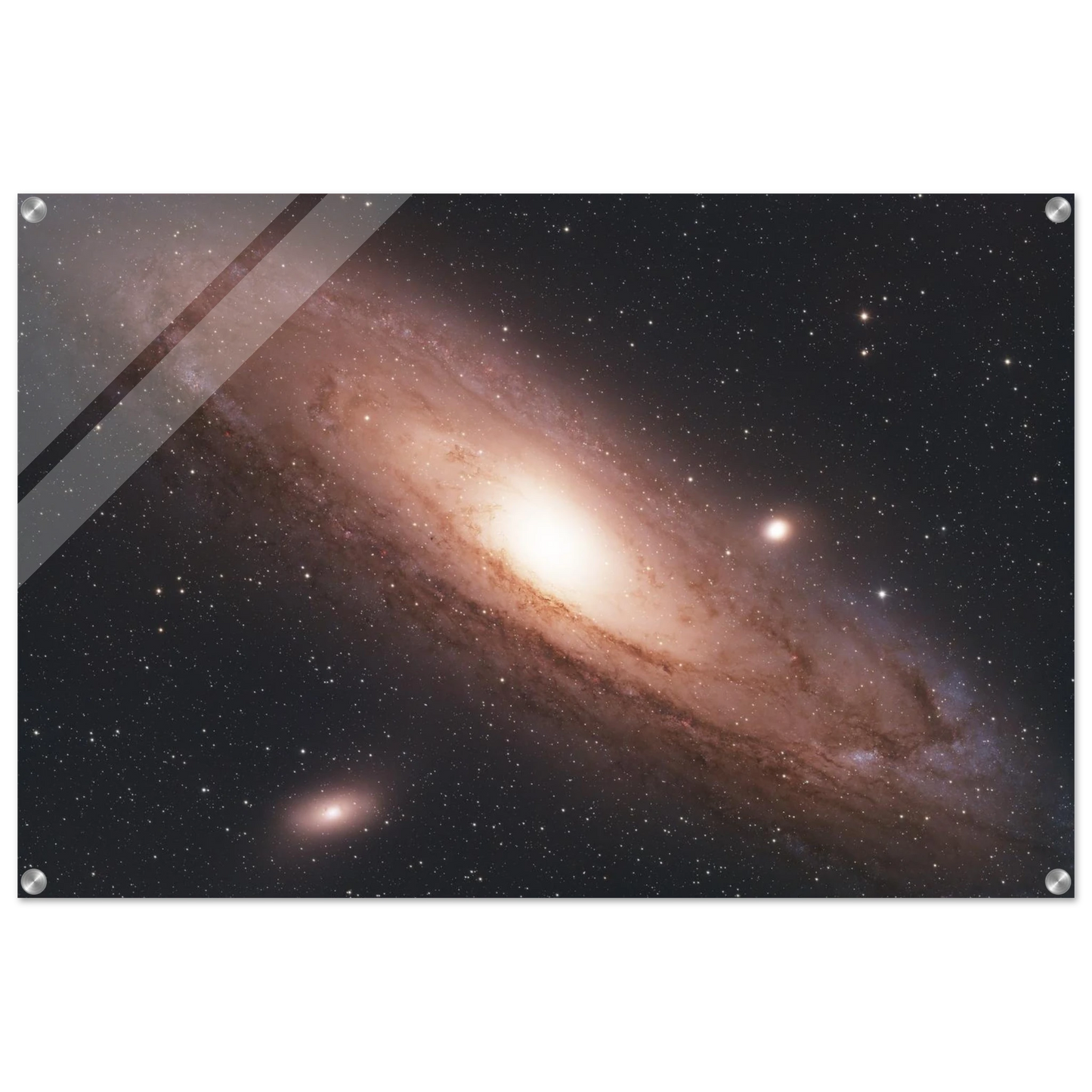 0c3f0366-d60f-446d-a2ce-a7582868b9b7