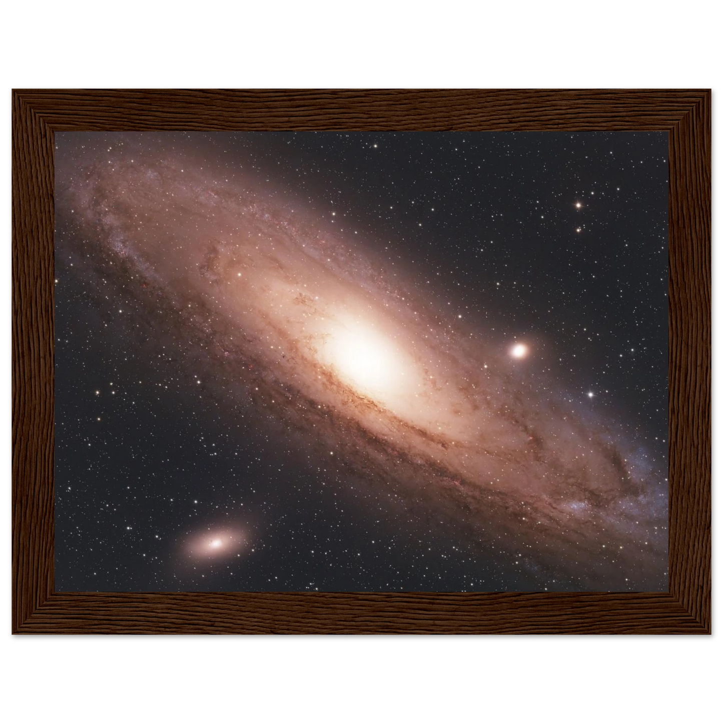 25c76314-c4c3-49bc-b415-568063375bd1