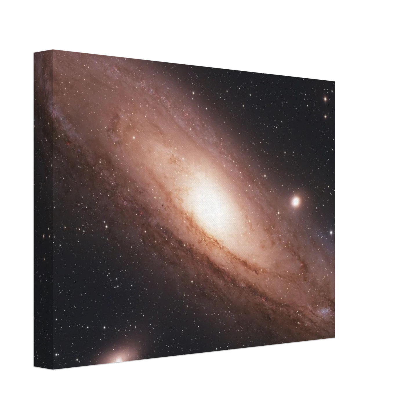 2c785499-3288-4602-9292-ef328aaf4473