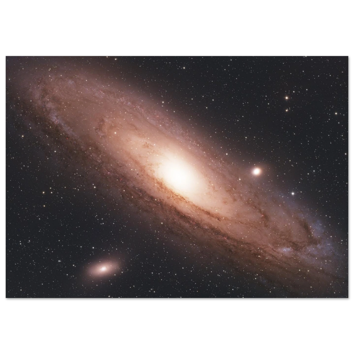 502831e7-76f9-435e-b245-965b2e48644f