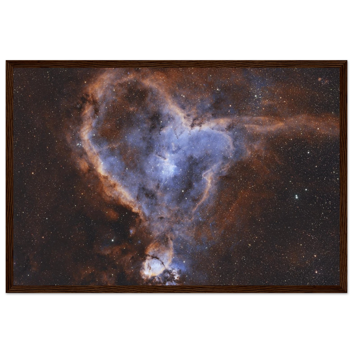 63018696-6b36-46ae-abd4-61707284a980