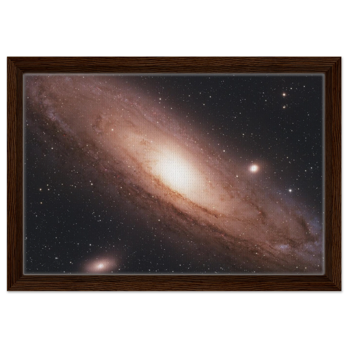 8fe76249-173a-47c6-8113-ecac3b170c10