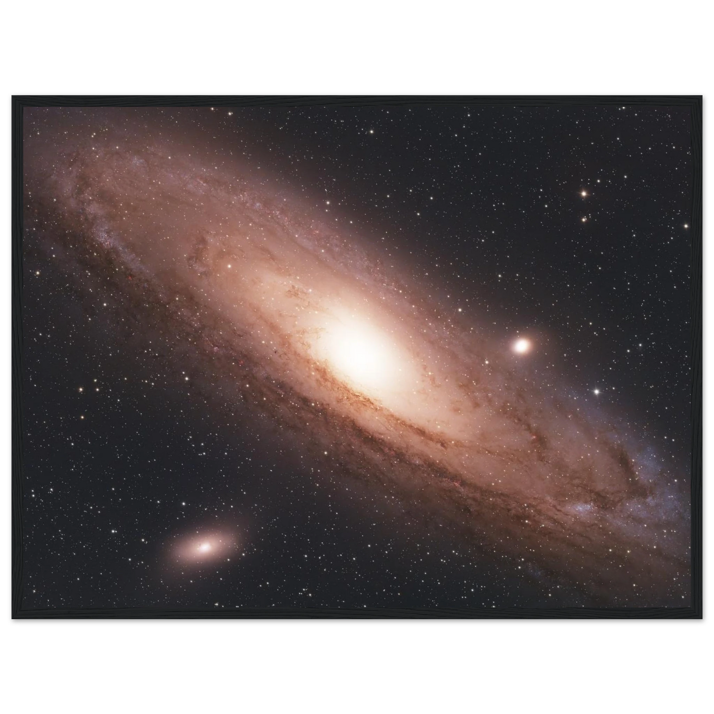 ad78fcfe-3b25-407d-8042-2127926ee02f