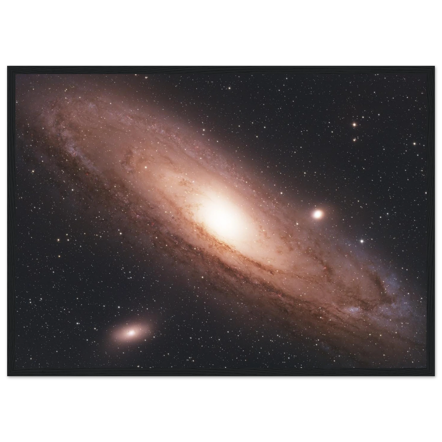c696a2b3-bd41-4861-8b49-06dc46d62cce