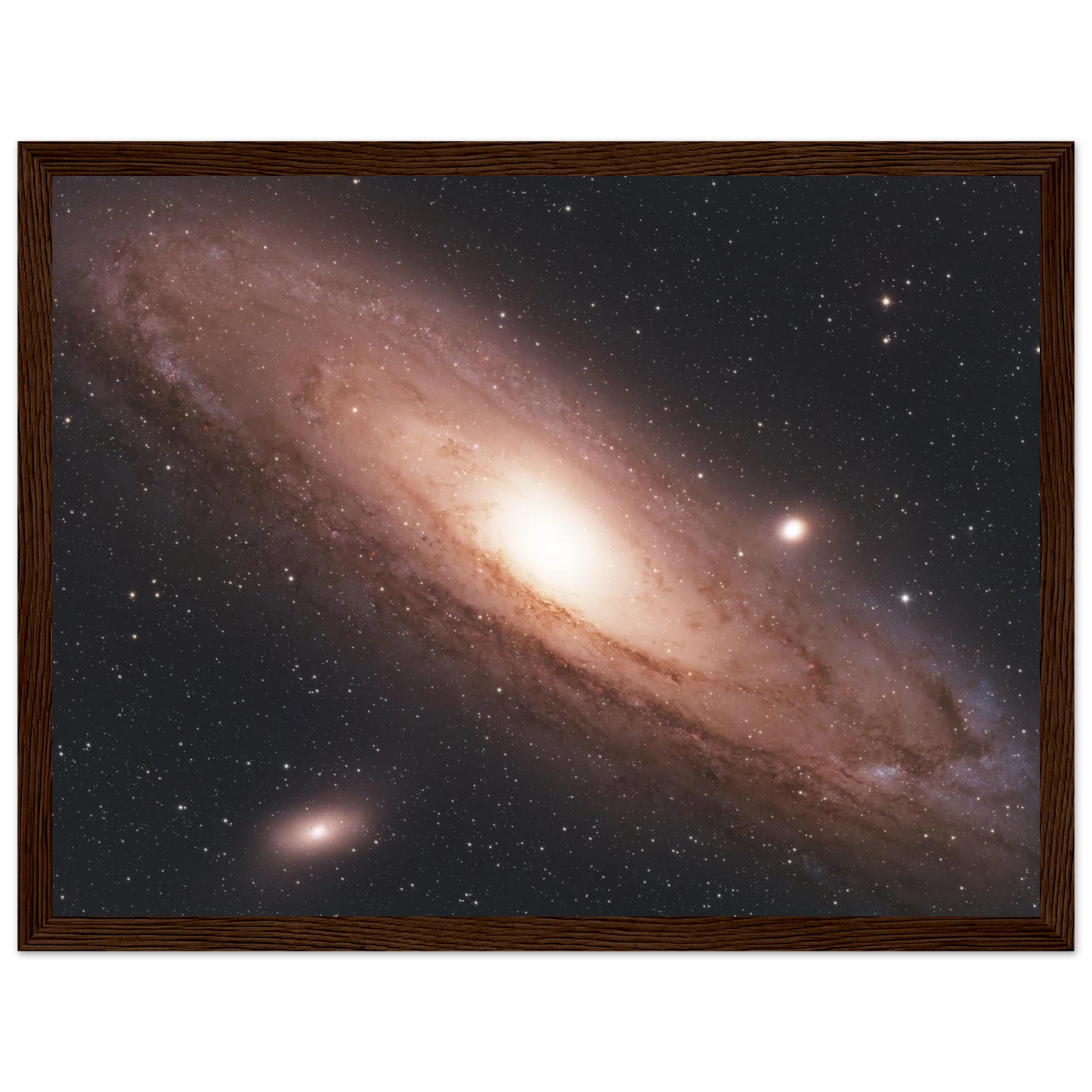 cc3ef7c5-71c0-41ed-9f44-e69043ac27b4