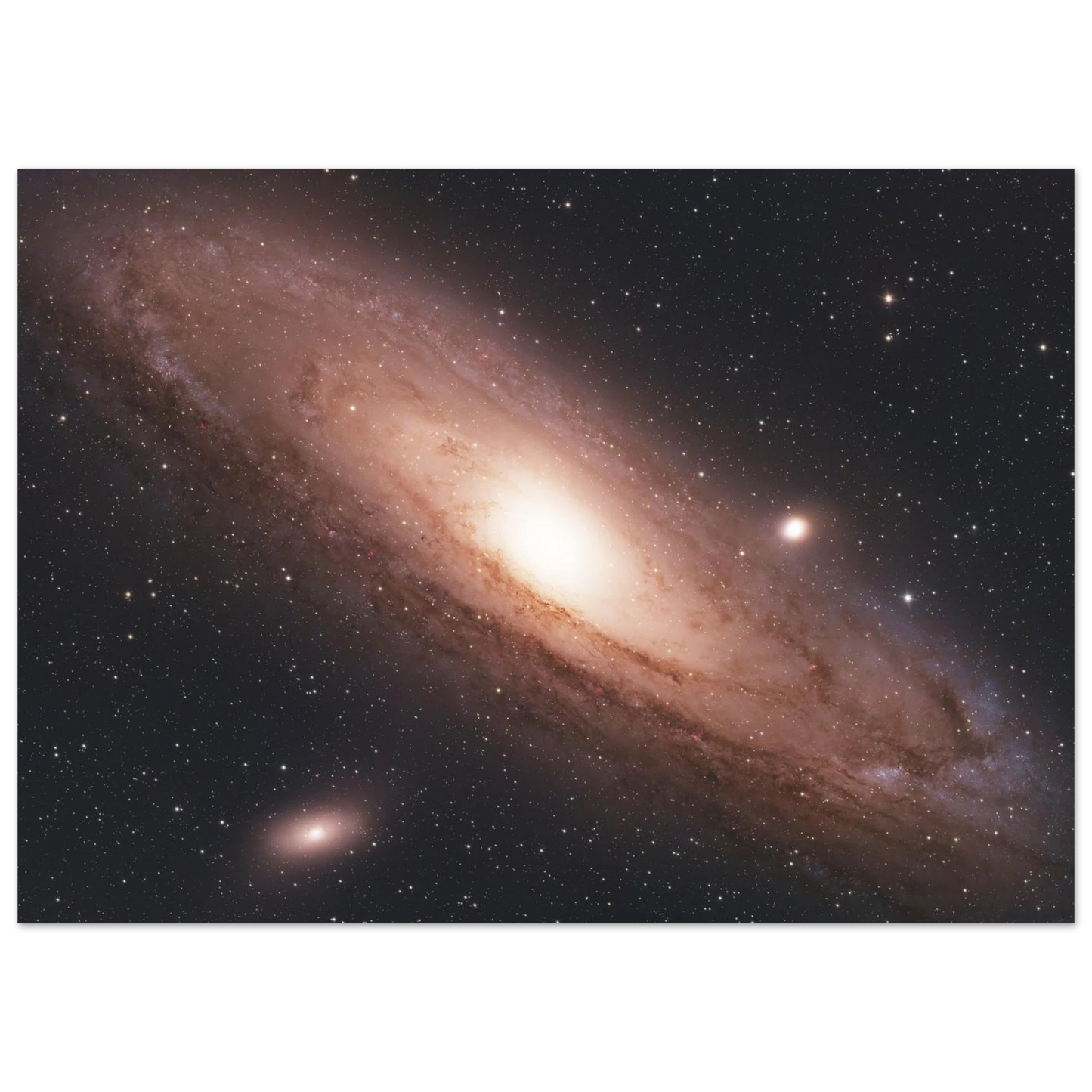 16fbd581-513a-4be9-9822-7f8e1d231675