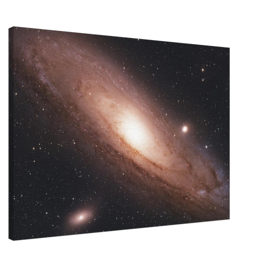1e64dcf3-ce38-435b-beed-8ef55eb2b89c