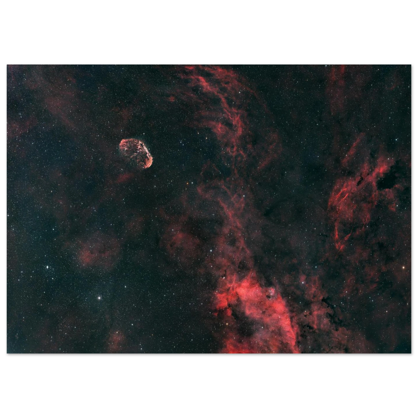 2203c2e5-19e9-4556-b2c9-6231fa32a445