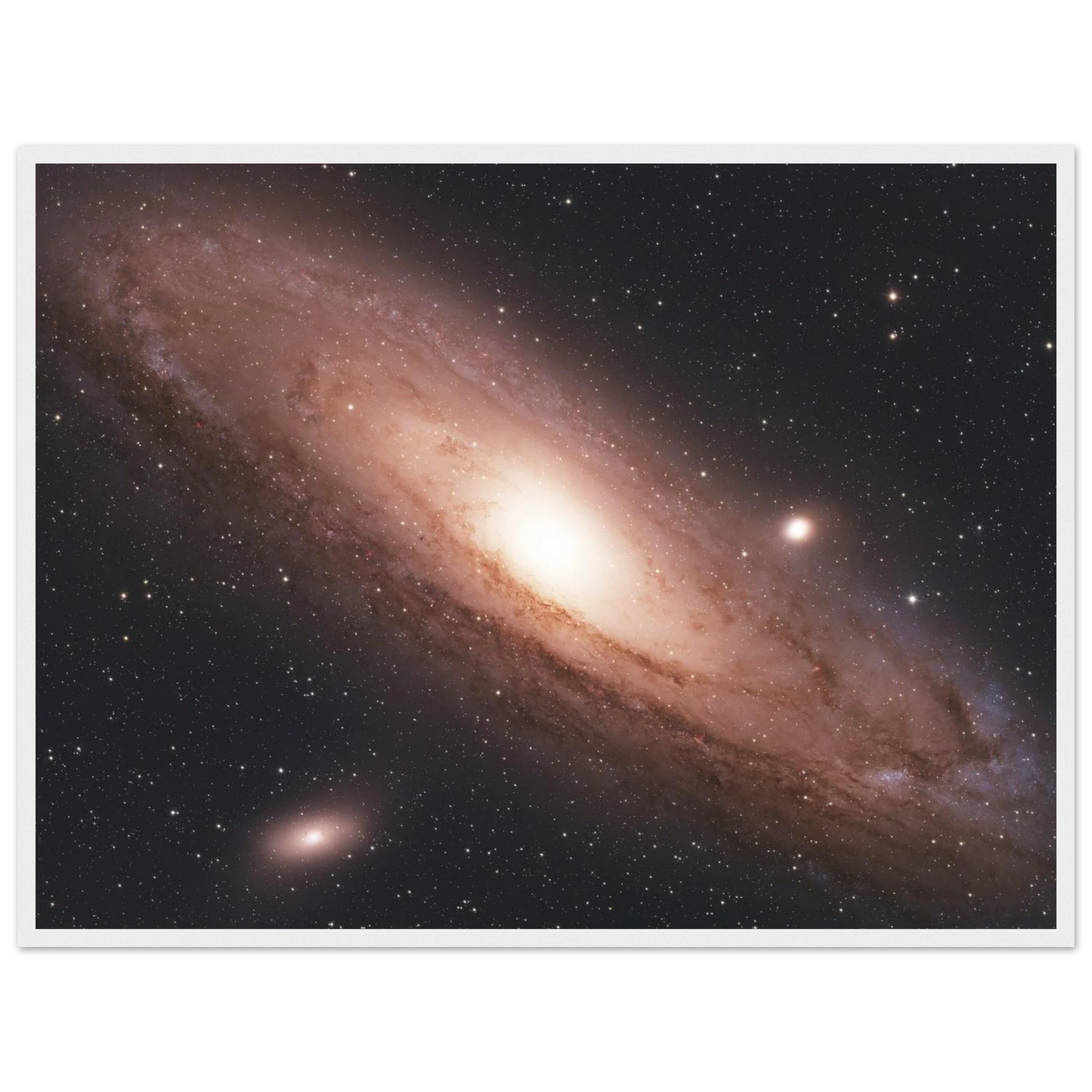 24e1cb5c-ac06-4ff3-a4ec-4273bdfef54d