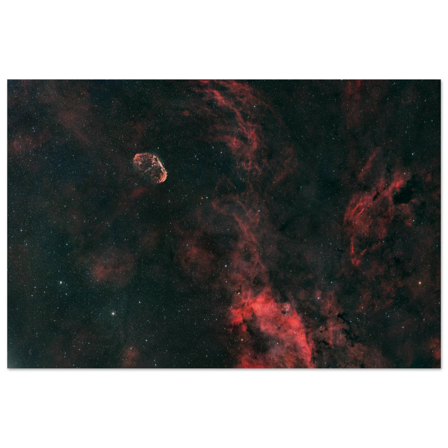 34d643bb-6079-4754-87e0-ddfa69542d4d