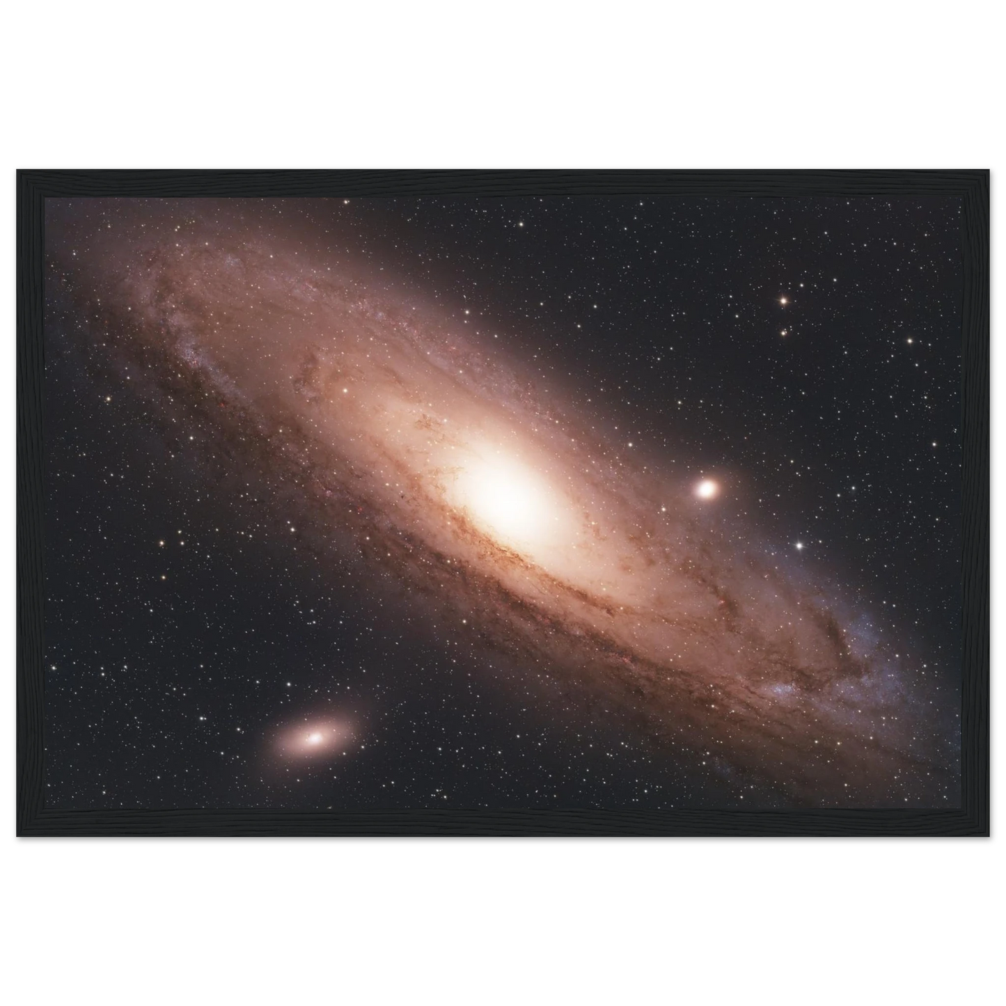 4ae49fe1-54ad-4313-8f12-5e952db31999