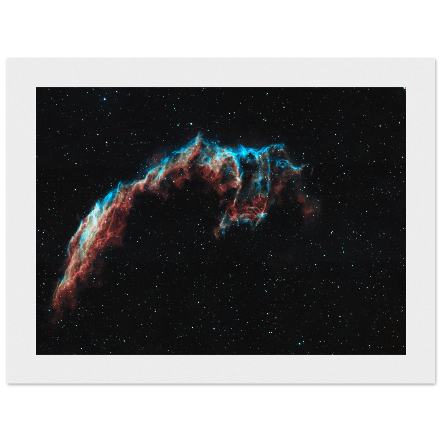 4cc14122-6669-4ded-b4d6-151e60477841
