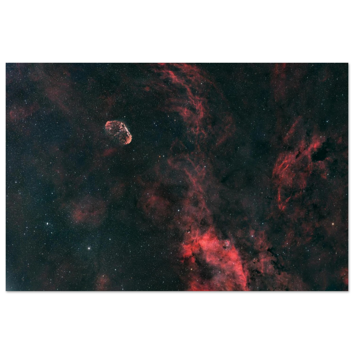 51b1d874-1241-43ff-9901-bbad1b6295f9