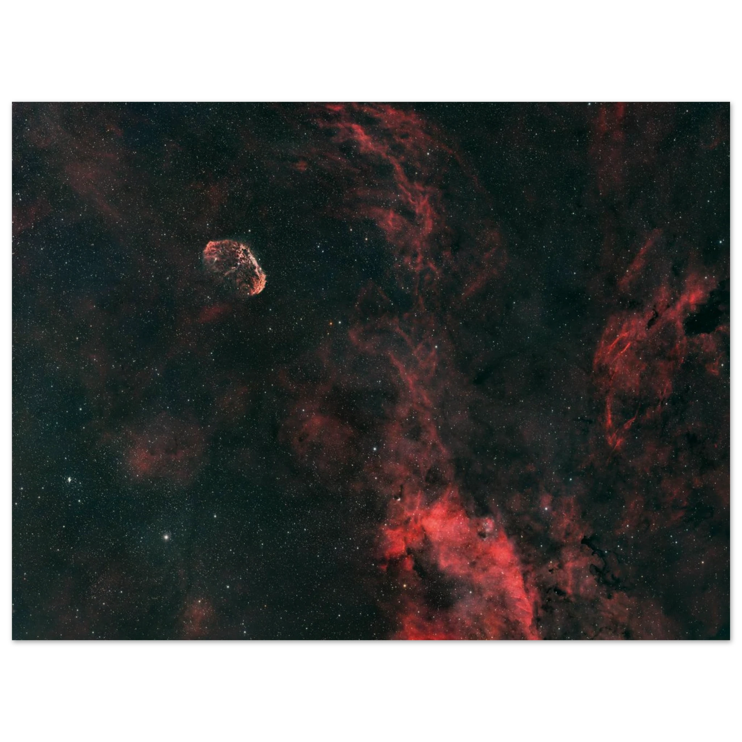 6dbcb271-fa05-4c16-a961-df06825dc775