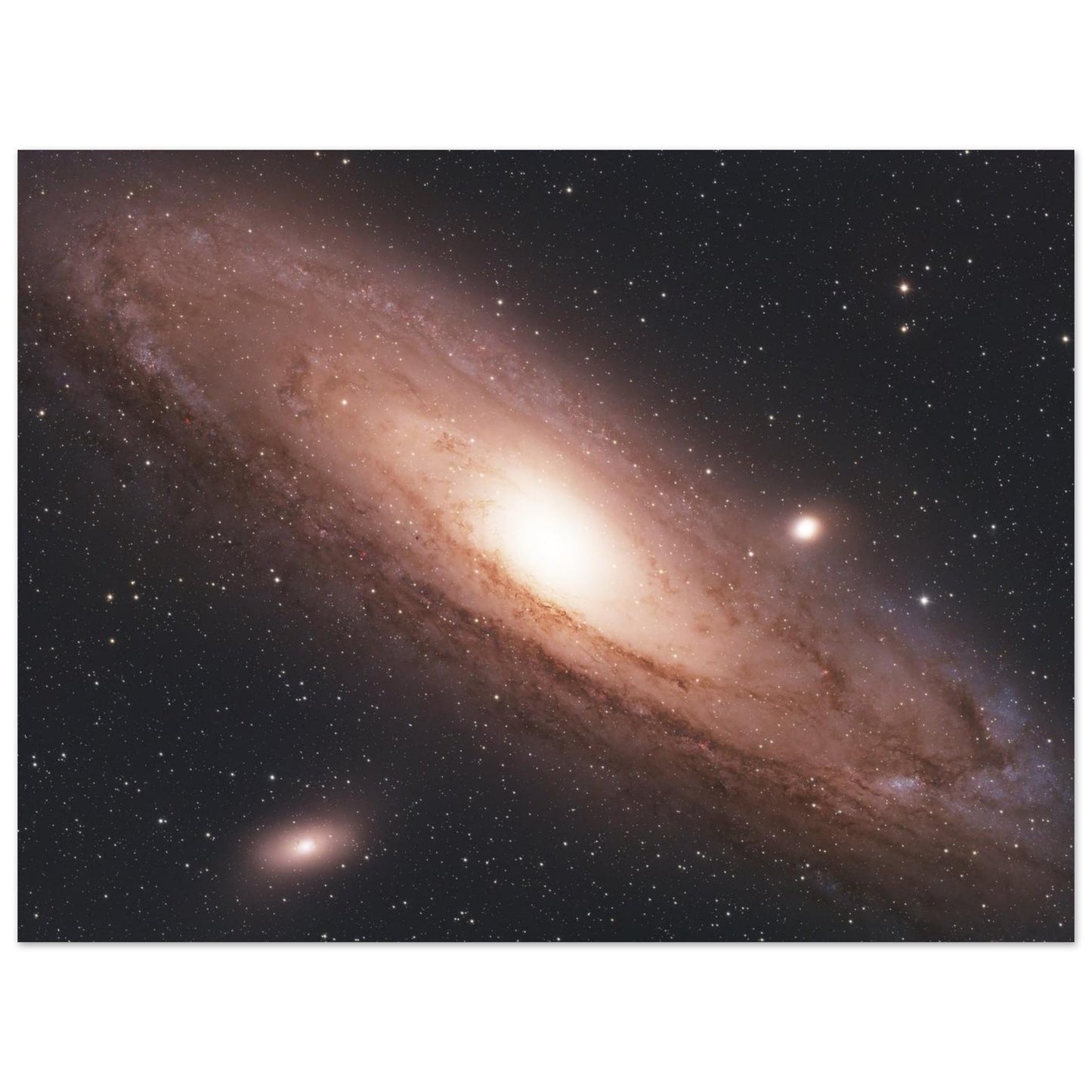 6e4c65af-6614-4d84-b986-592d2bcc4333