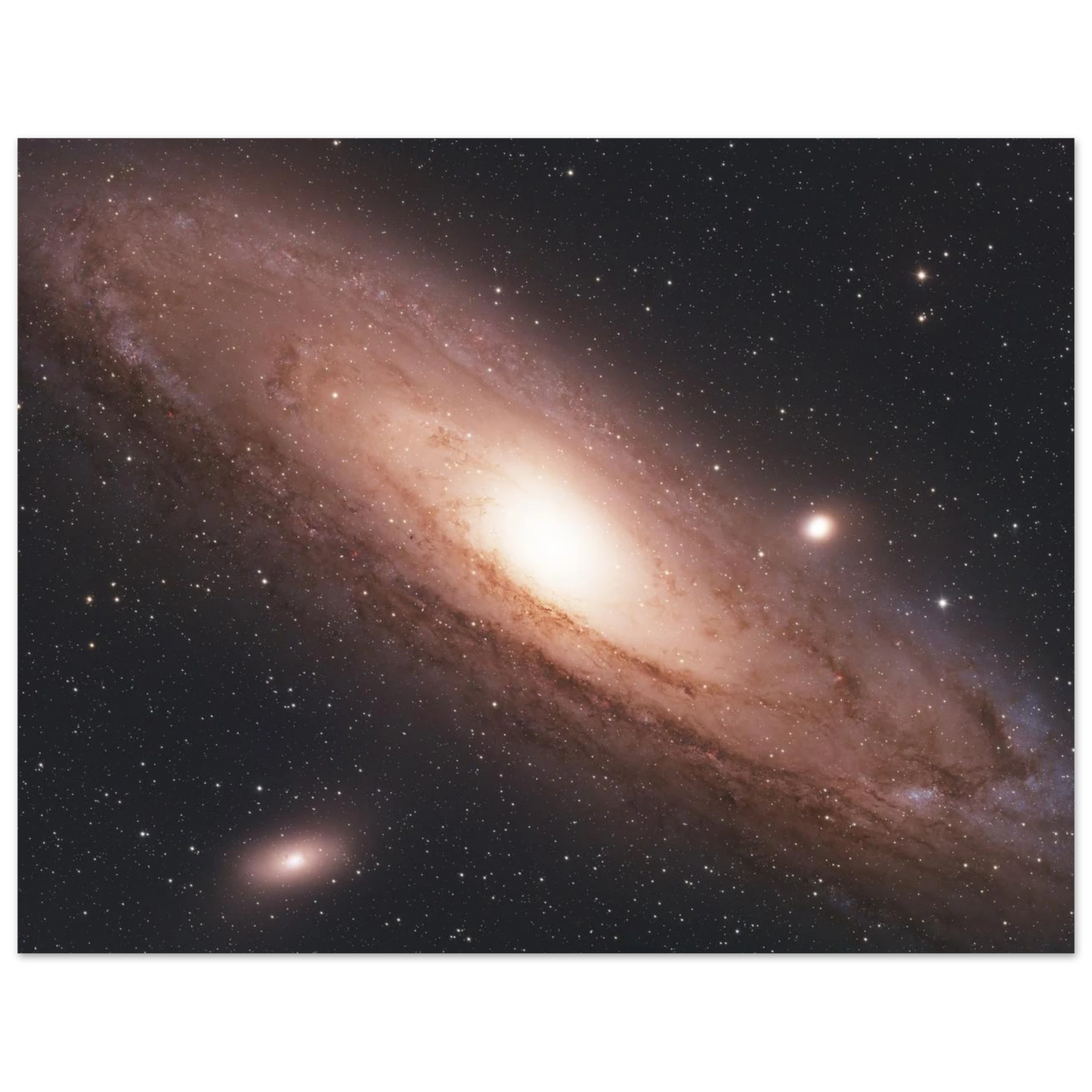 81cb36ce-c0d5-42e3-93e5-0064043b1f91