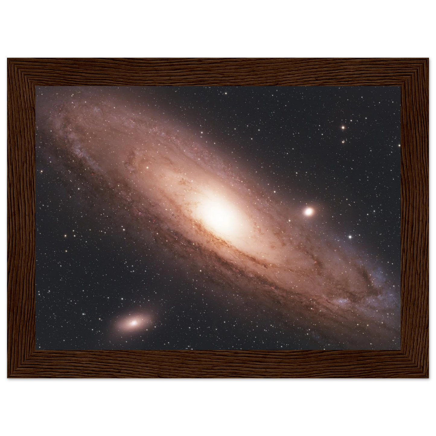 8752da91-b39e-4921-9f73-e2dd4c5cde2a