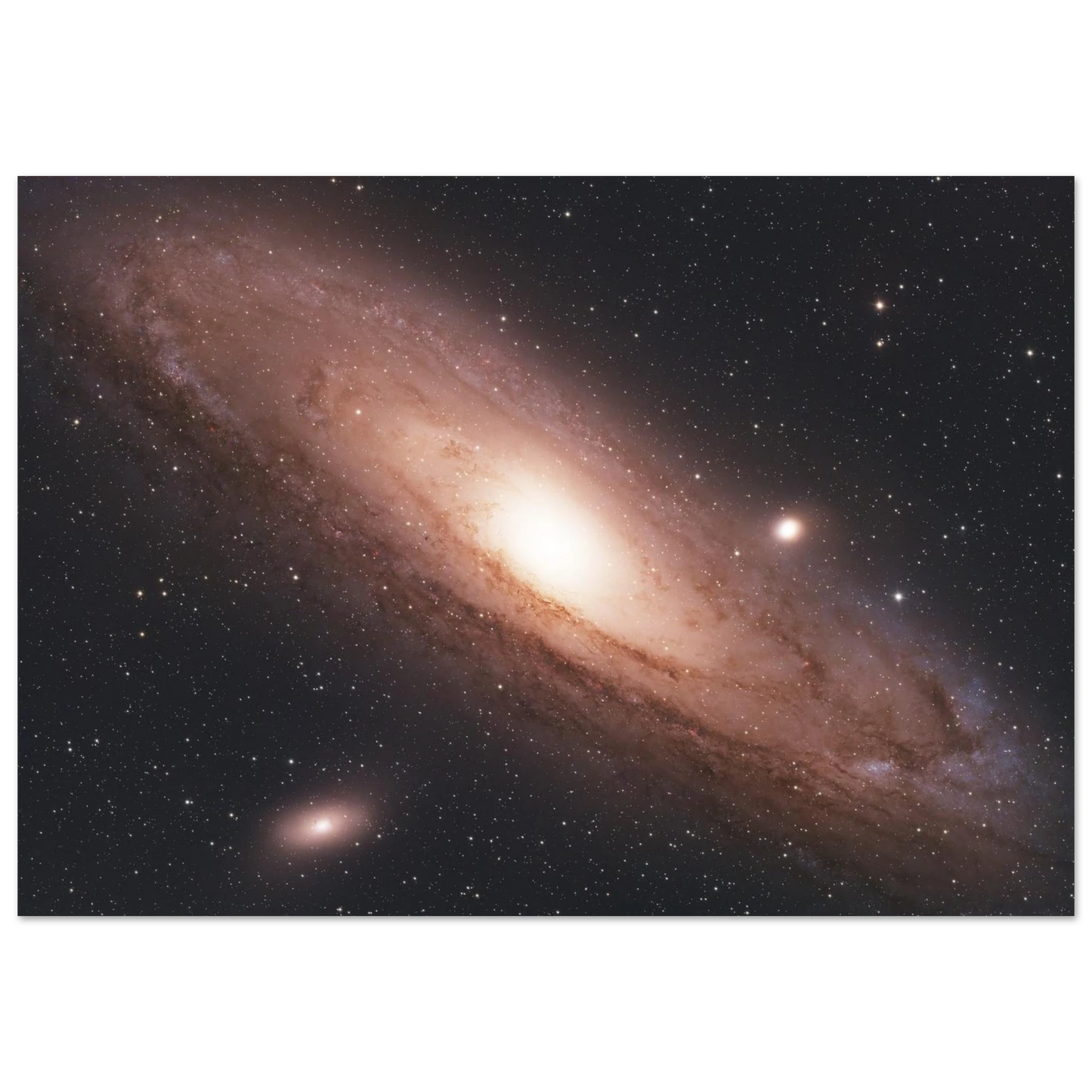8d2005e1-399d-464a-be2d-195aa7a488bd