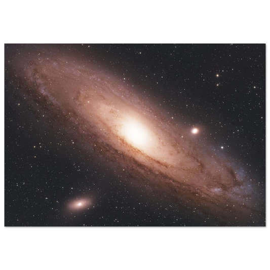 8d2005e1-399d-464a-be2d-195aa7a488bd