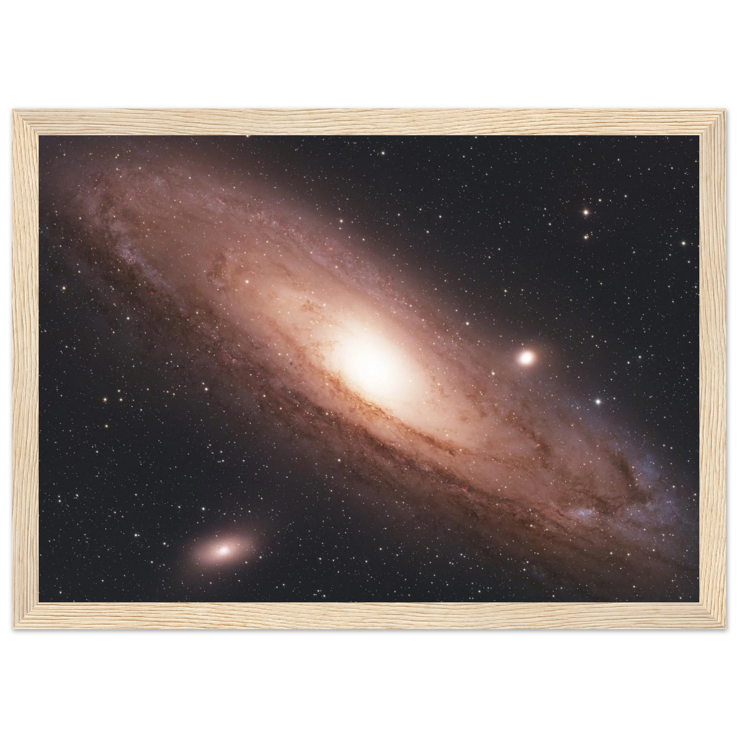 8ddb6b5a-f96e-4571-980f-8bf9789dbfed