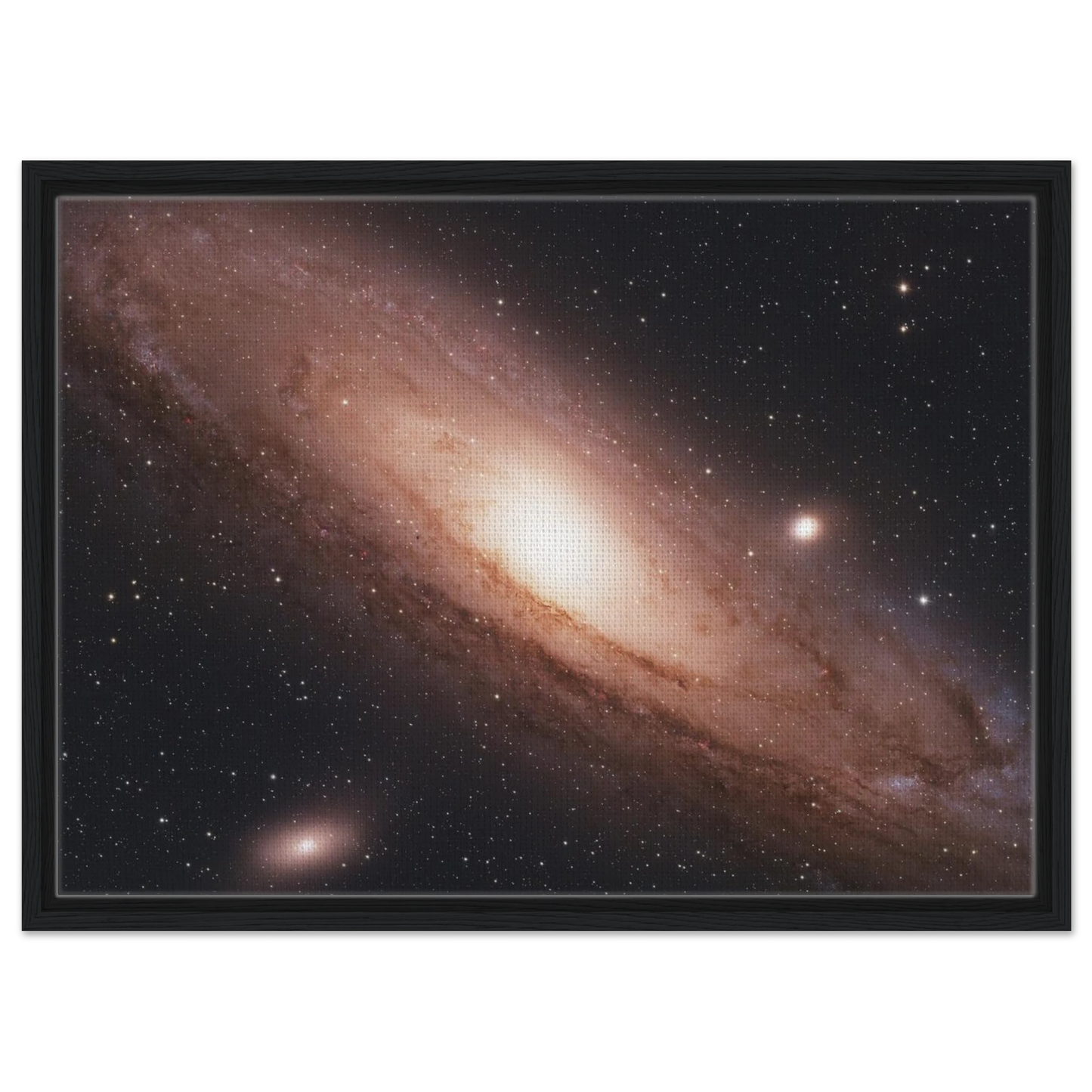 9c1a1078-6cb9-4b70-a981-8bb5320f156f