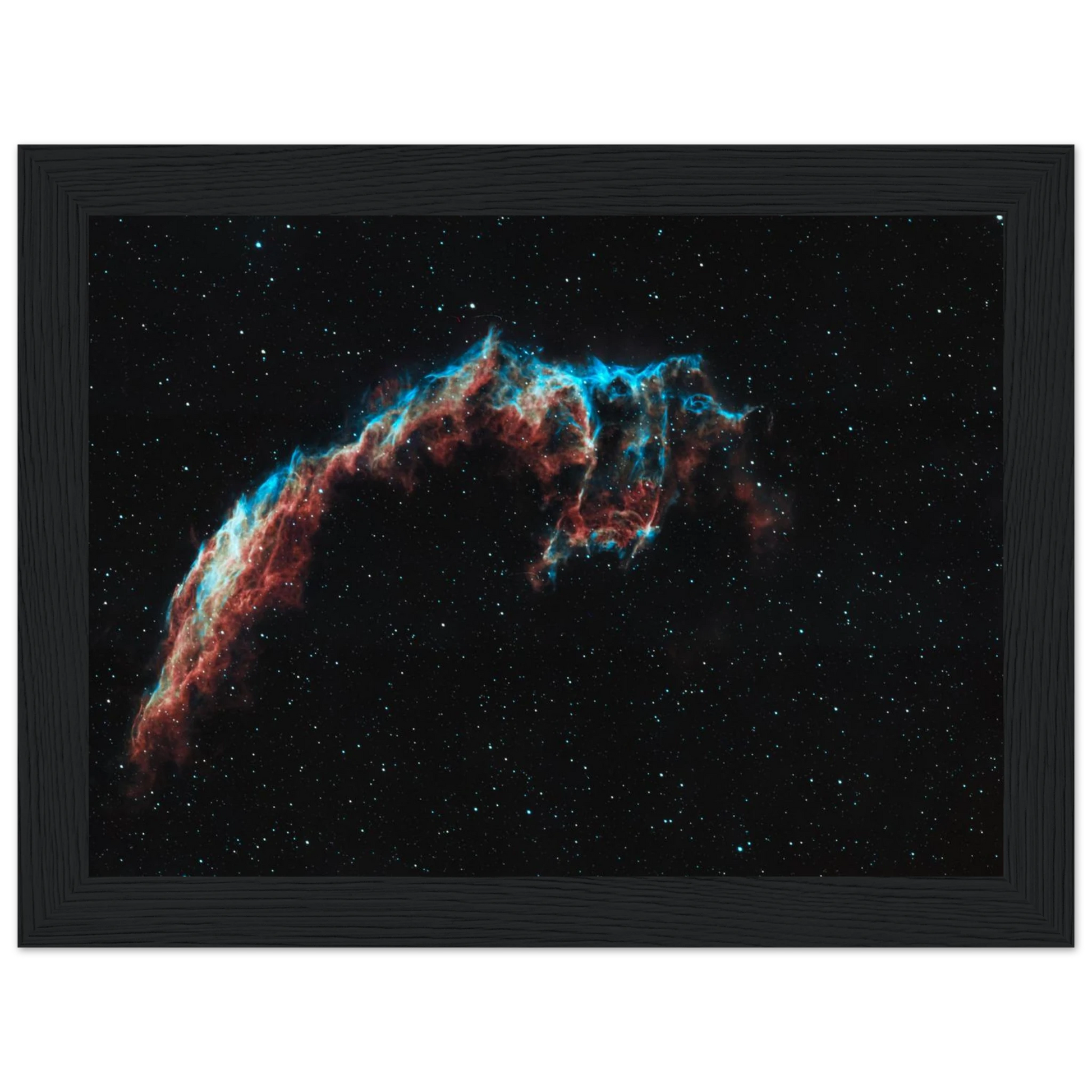 a2a16485-e2c0-43c3-96b6-107562018c4a