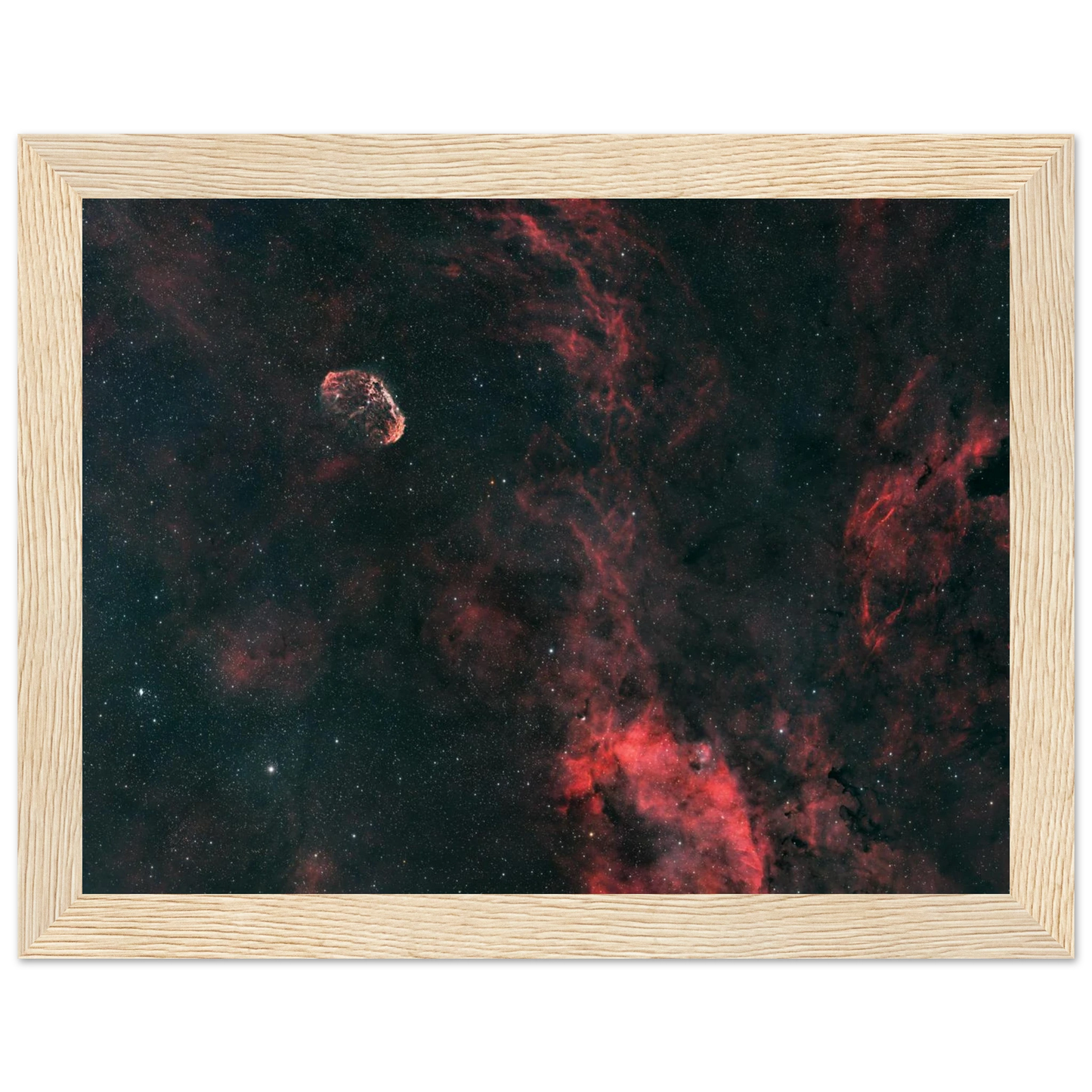 a80073b3-4859-4186-bed0-c2d62d5e5063