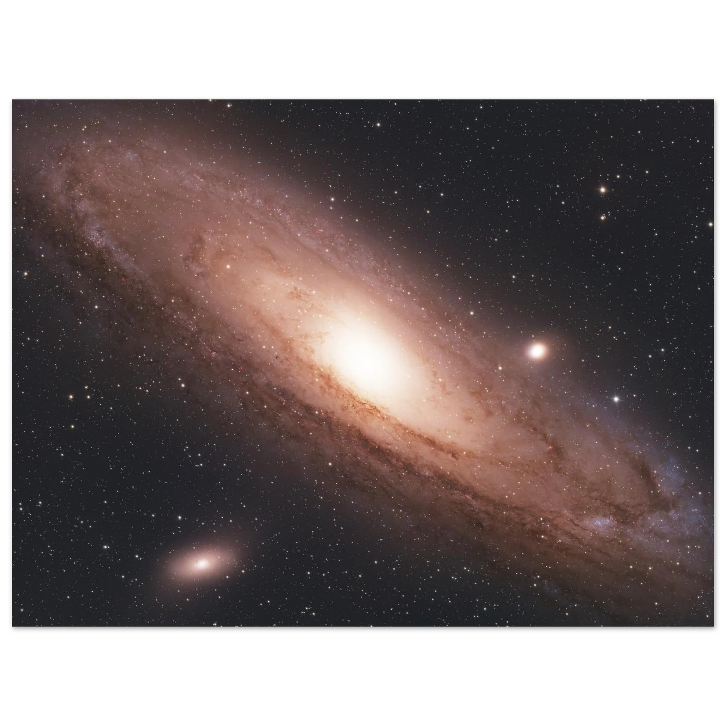 afda70dd-f678-40e7-a7d5-5a0ef159751a