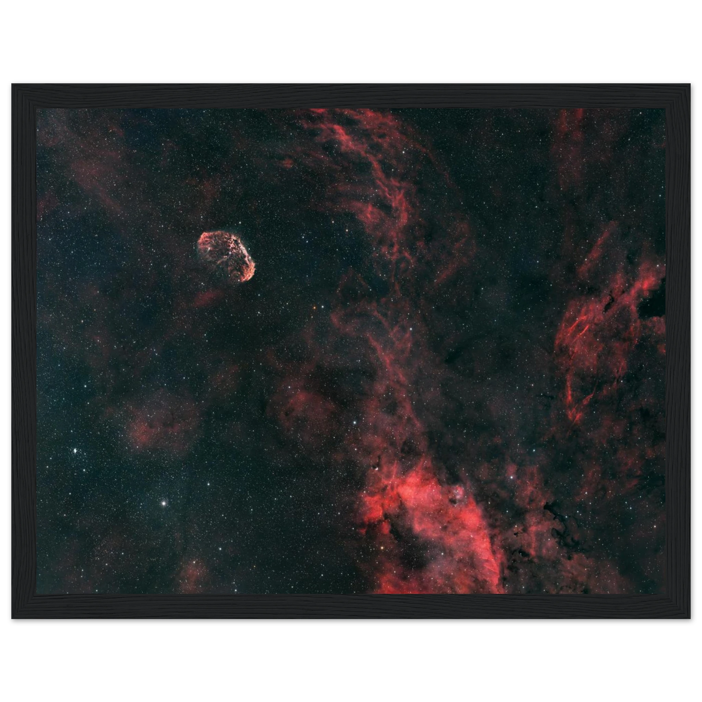 b38992b1-05b5-4d0c-8861-de0520c0b949