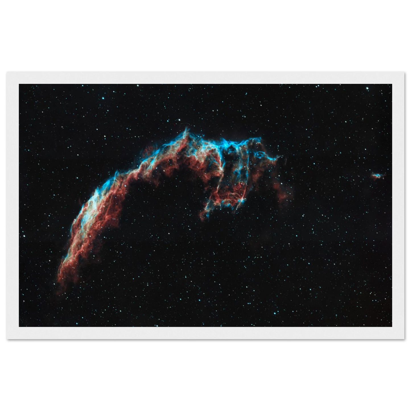 b3bc696b-de75-4905-b192-70a2e6853e3c
