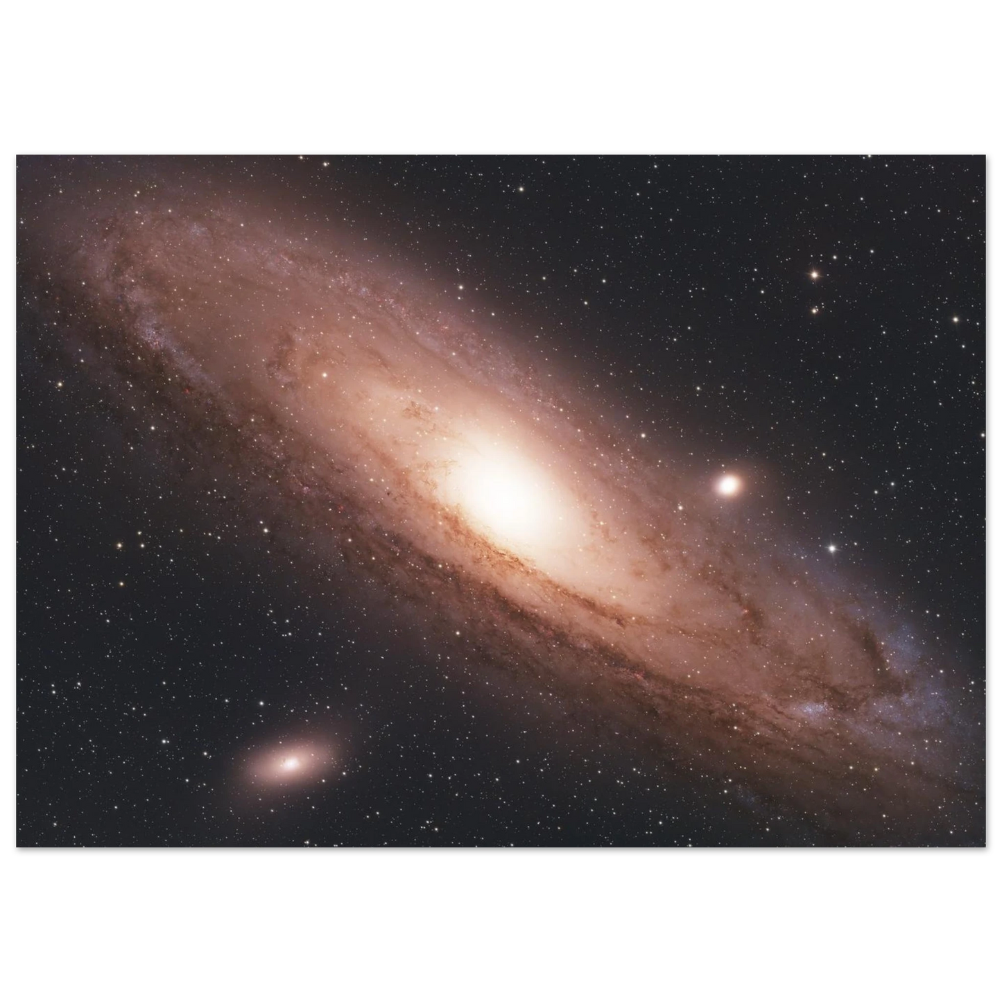 b4686af6-b9d8-497d-a680-b29ebf906438