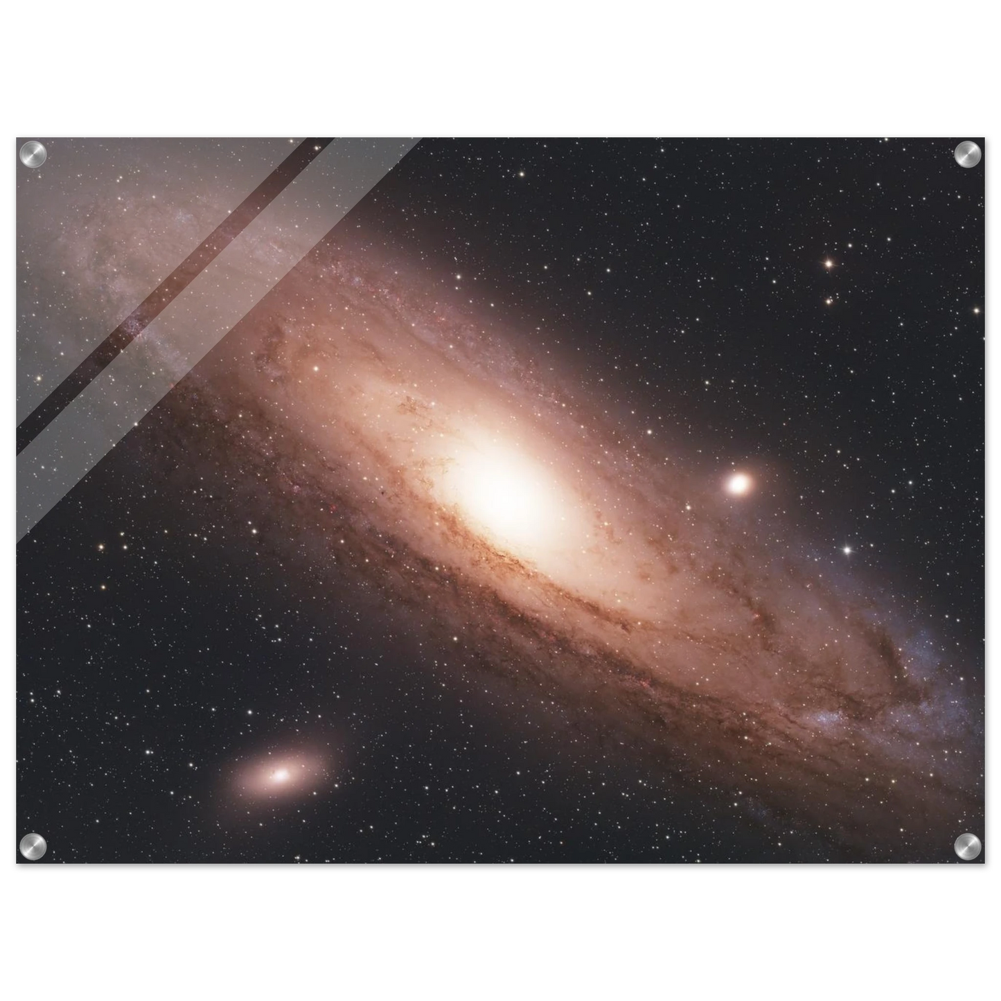 c7b81fe6-d1fd-42ef-82c8-16f840f3472f