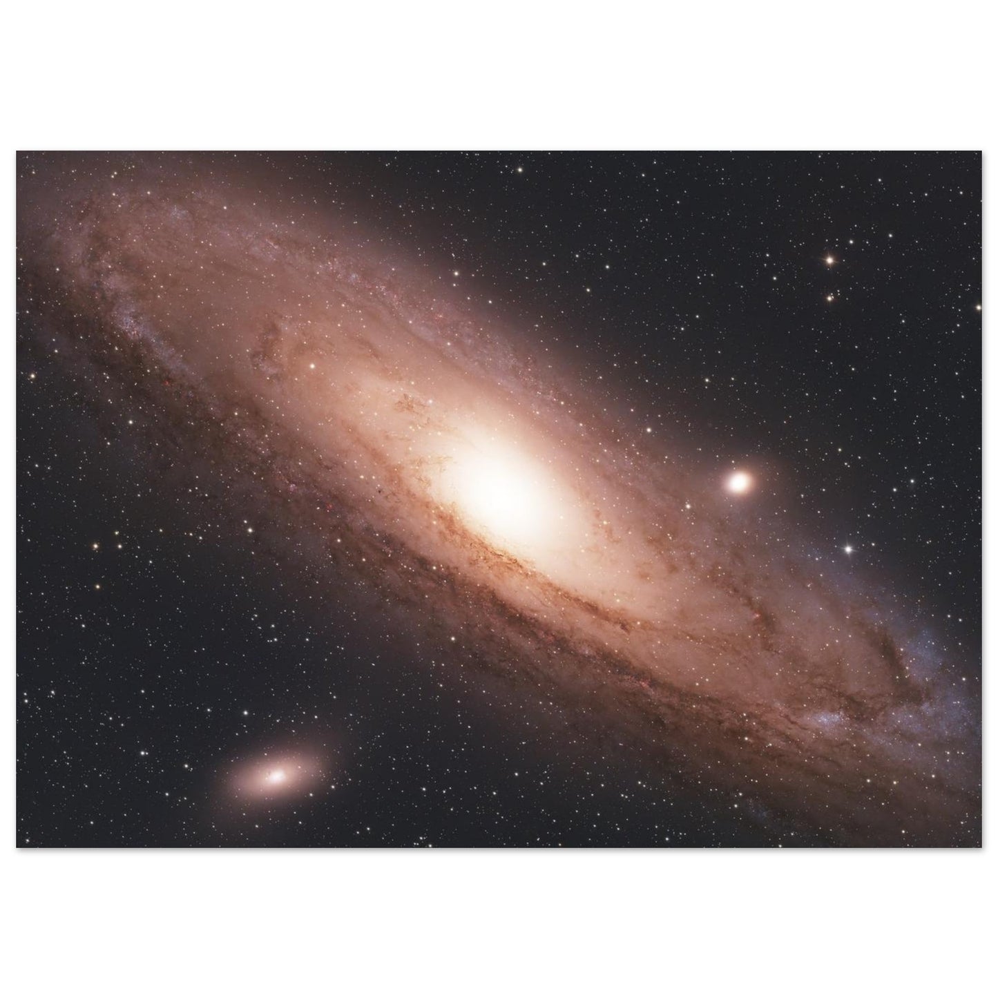 d1ff91ae-eee7-400d-8cbe-ae24851aa528