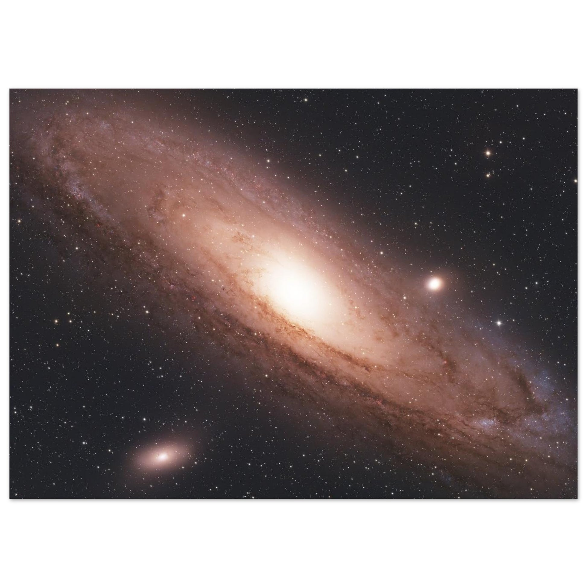 d1ff91ae-eee7-400d-8cbe-ae24851aa528