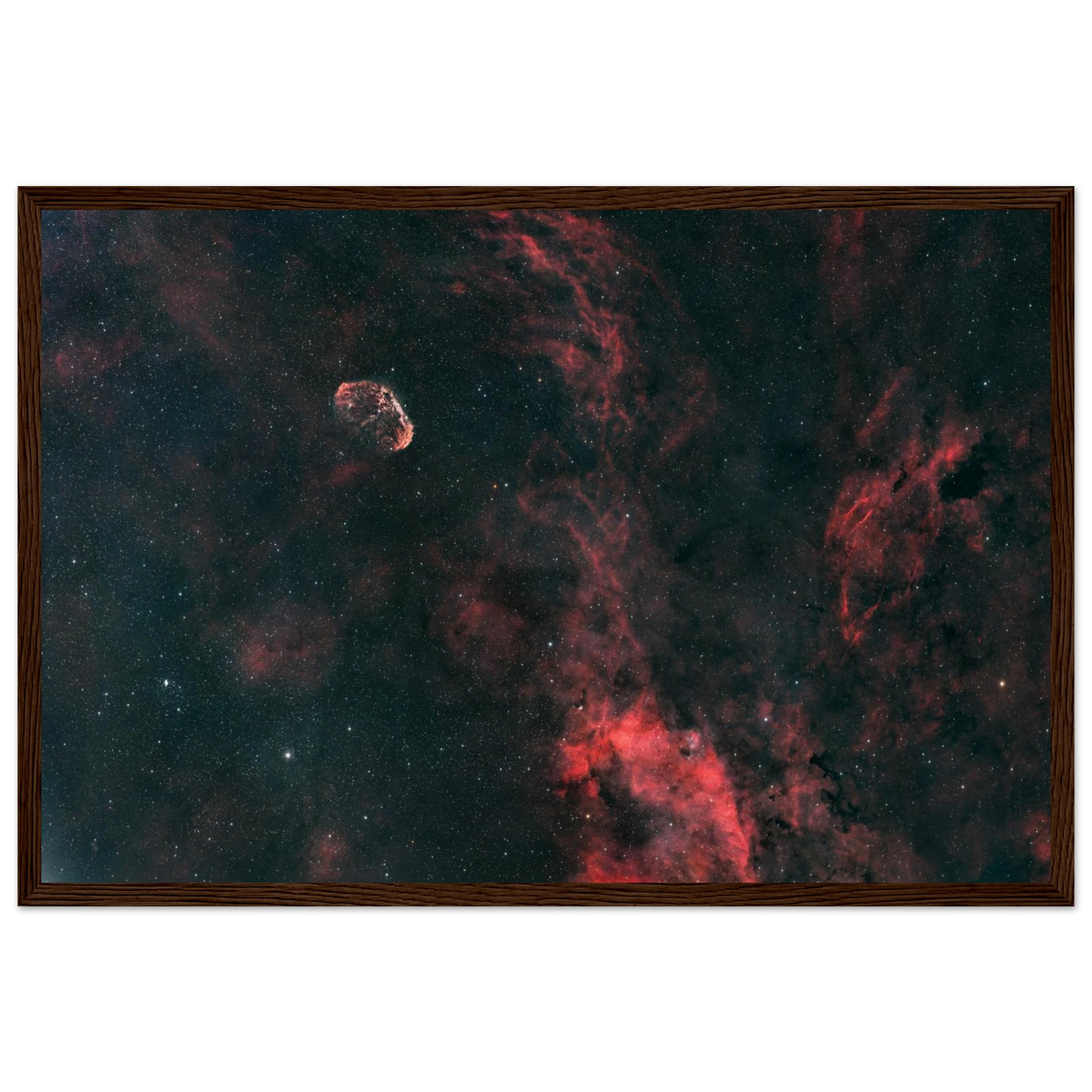 d208dcb2-dd84-4a69-ad48-1929966458f1