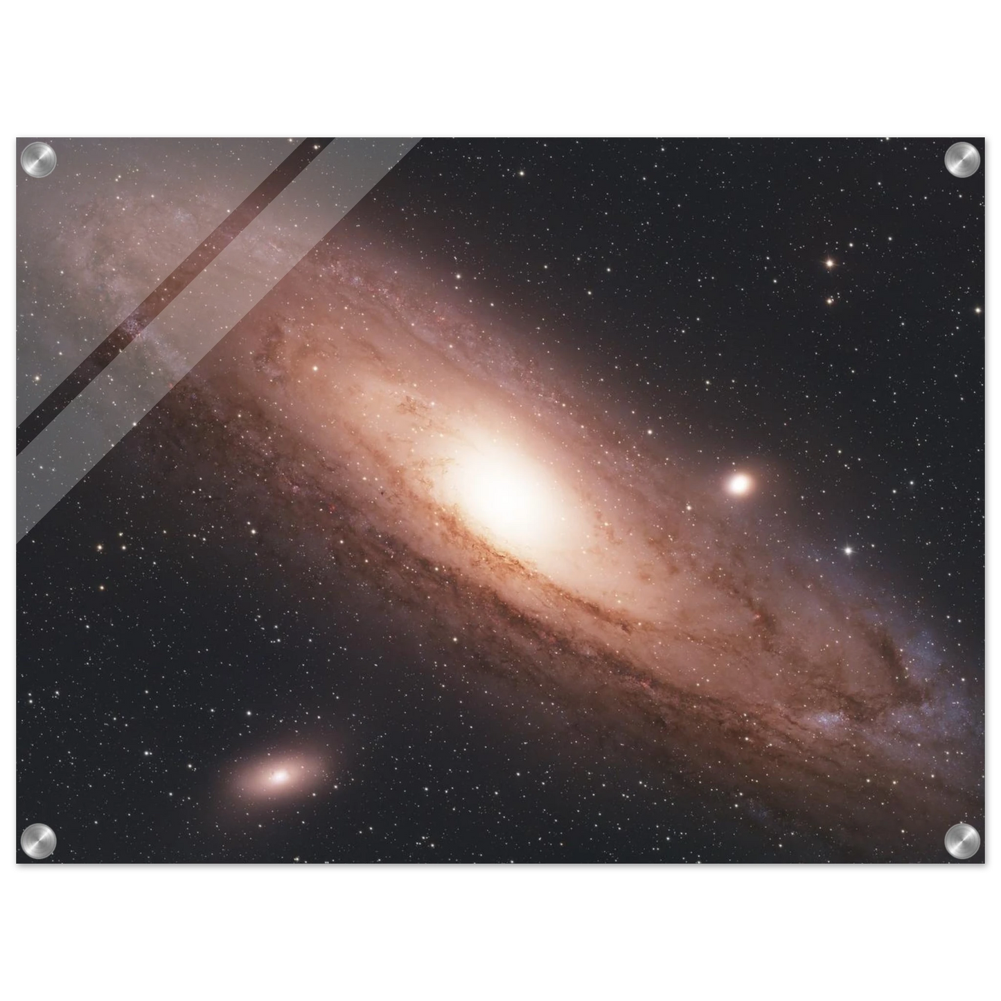 d52794e5-f105-41a4-a636-2899cbb9039e