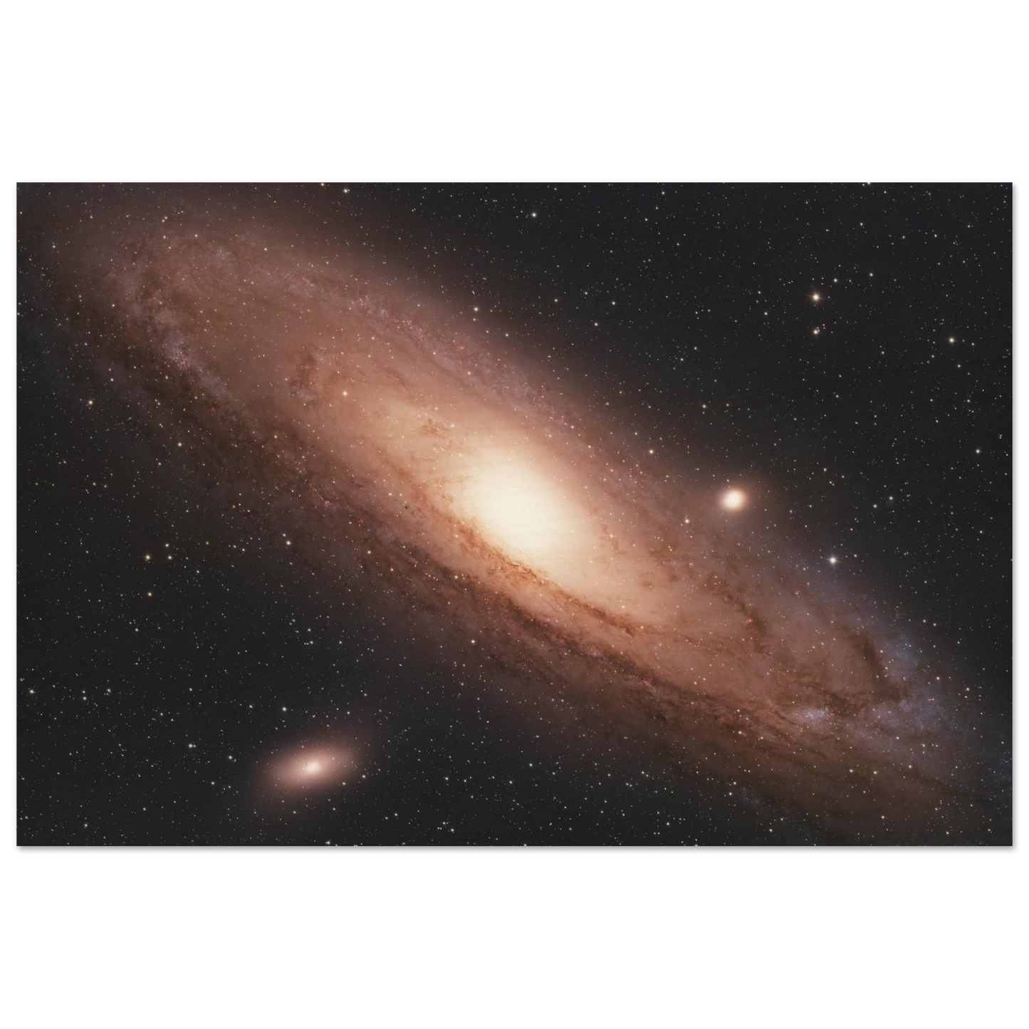 d82e7010-6904-4be5-8079-f289e813a45f