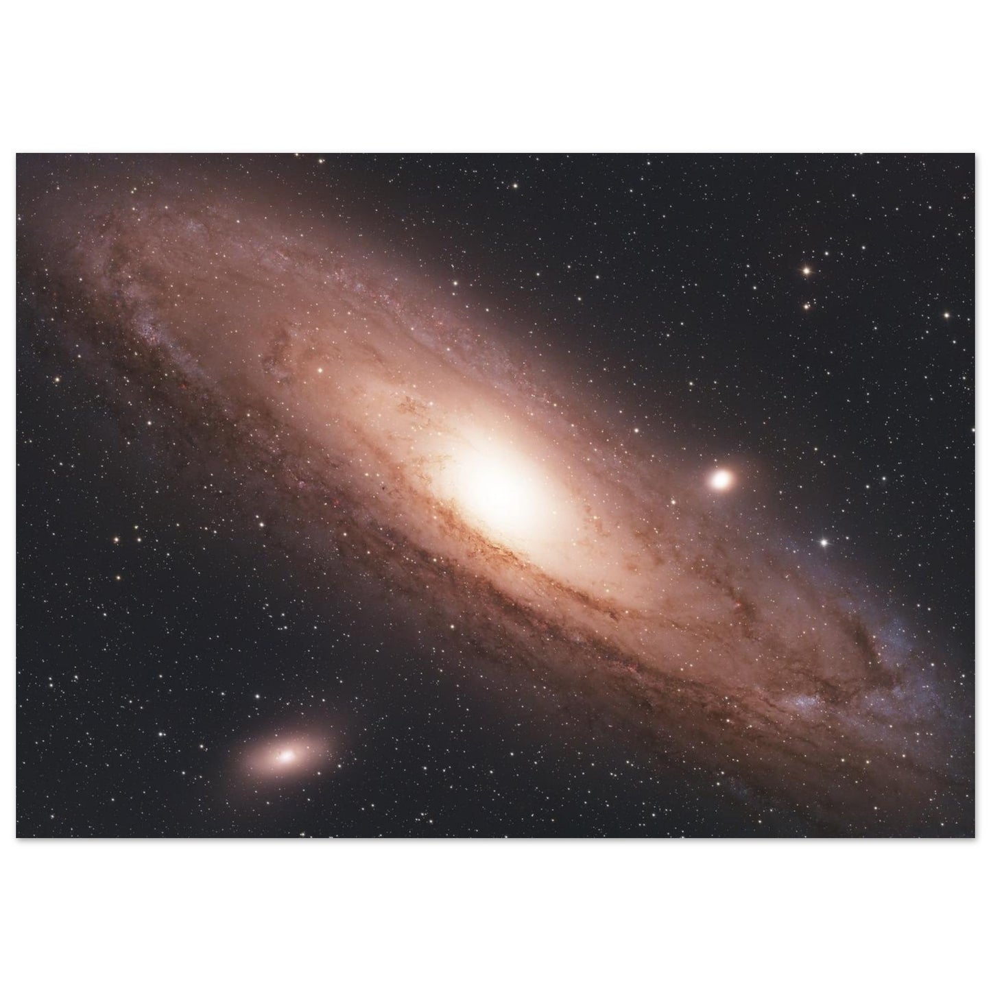 d916258a-b625-47eb-b74d-40c474583329