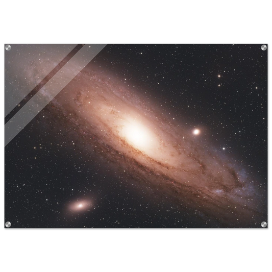 e0f1544a-1186-4f1f-bf0a-5e1ca717348d