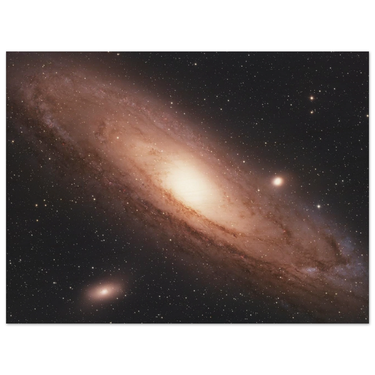 e5a7765c-c529-4c79-a1f3-108146aa28b2