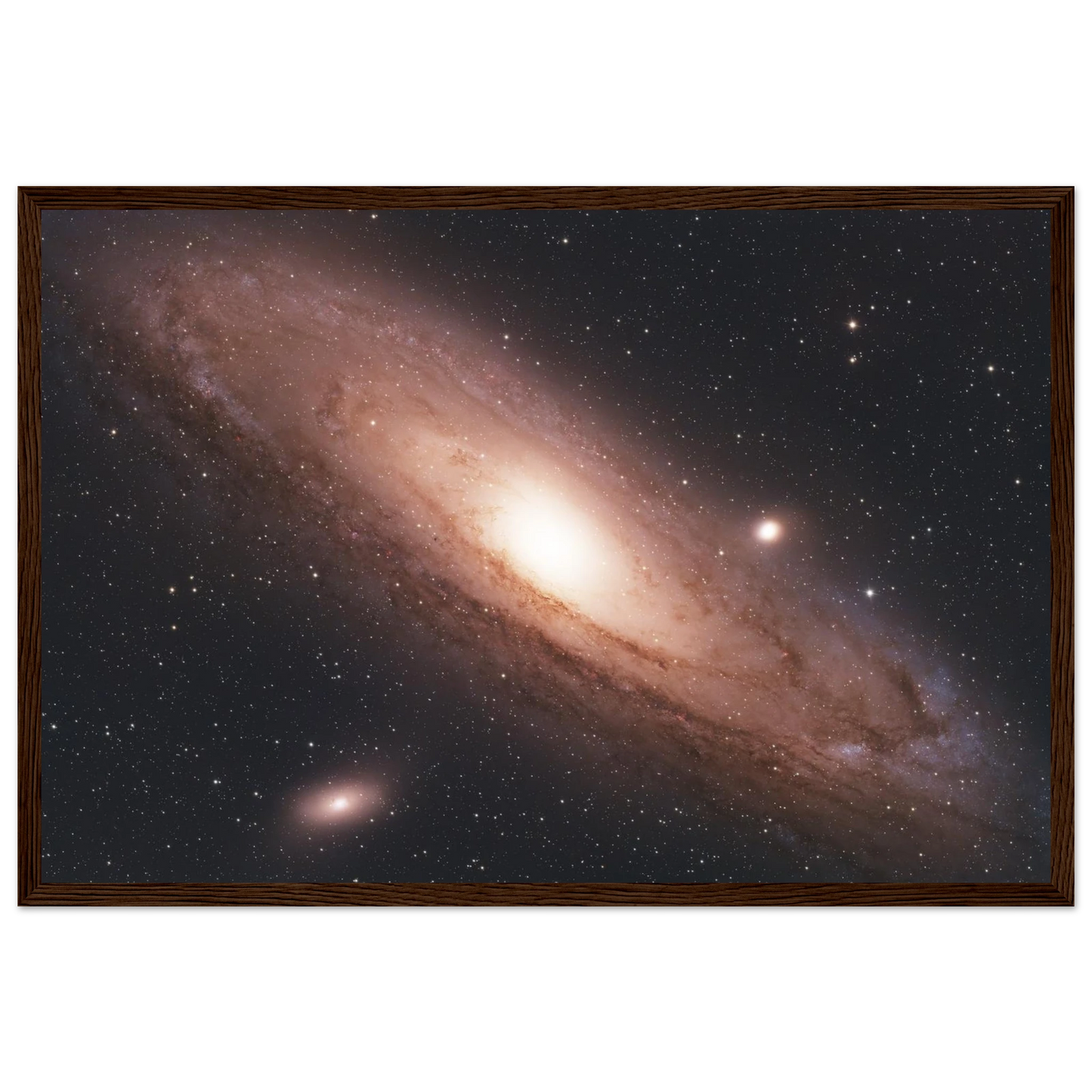 e5cd4dfb-7668-4dcf-bb15-a203e196013f